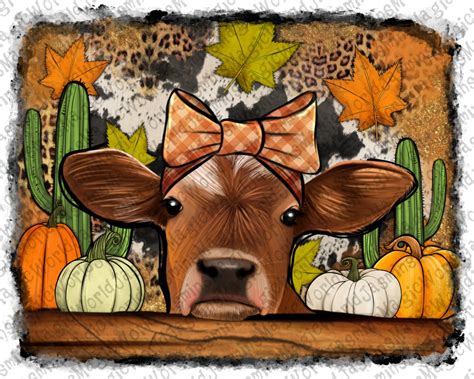 Fall Cow Png Fall Pumpkin Cow Sublimation Design Halloween - Etsy France