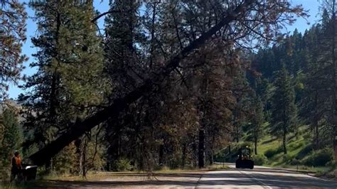 Highway 55 tree removal to cause traffic delays between Banks and Horseshoe Bend, Idaho