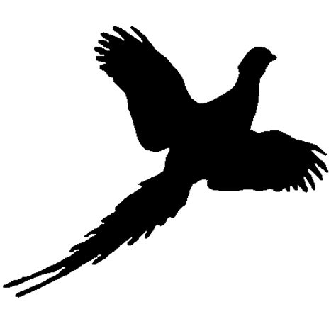 pheasant clip art - Clip Art Library
