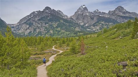 Jackson Hole Hiking - Grand Tetons - Yellowstone - Placs to Hike - Hiking Tours - Jackson Hole ...