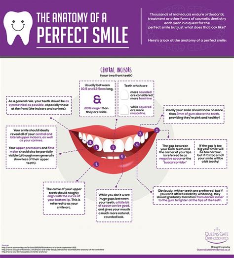 The Anatomy Of A Perfect Smile [Infographic]