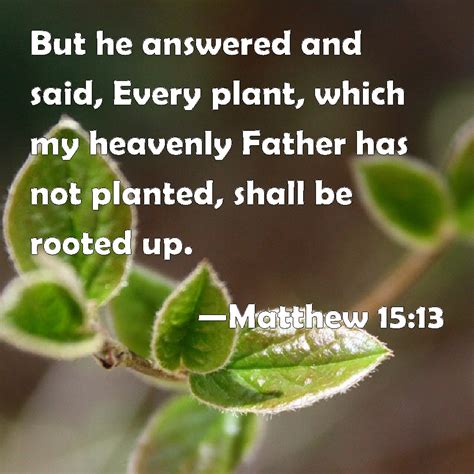 Matthew 15:13 But he answered and said, Every plant, which my heavenly ...