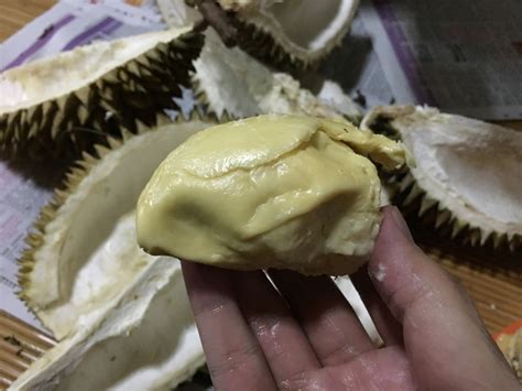 Petua Hilang 'Panas' Makan Durian - Afiq Halid