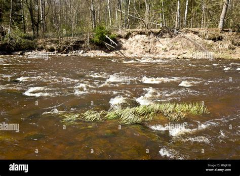 River Ogre, Latvia Stock Photo - Alamy