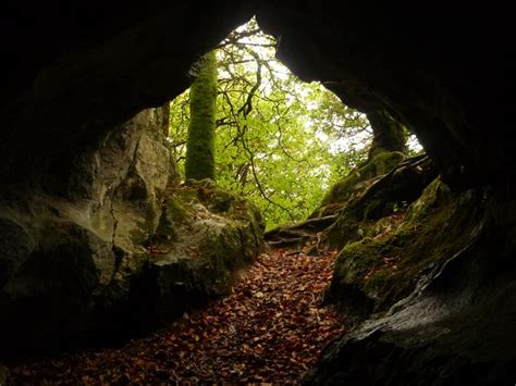 Cave entrance (photo: Sean Fagan) | Yew wood, Cave entrance, Photo