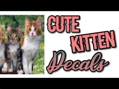 Roblox Bloxburg - Cute Kitten Decal Id's - YouTube | Pop cat, Roblox ...