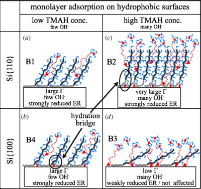 Schematic representation of the adsorbed layer structure for exact and... | Download Scientific ...