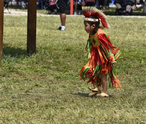 Modern history: Meskwaki celebrate 104th powwow (PHOTOS) | State and Regional News | wcfcourier.com