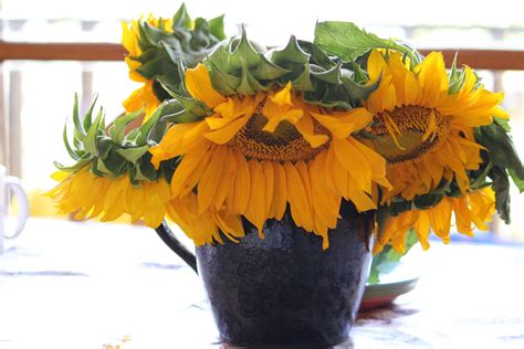 Free Images : nature, vase, produce, yellow, flora, happy, sunflowers, floristry, summer flowers ...