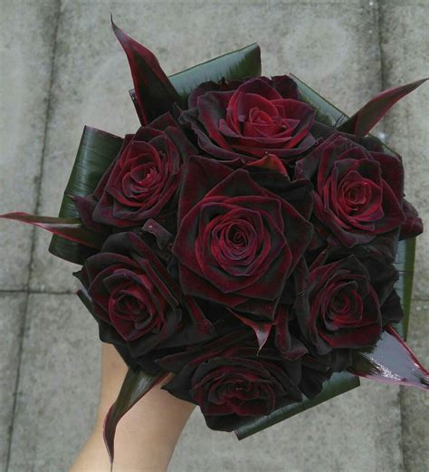 Black Baccara Rose Bouquet | Images and Photos finder