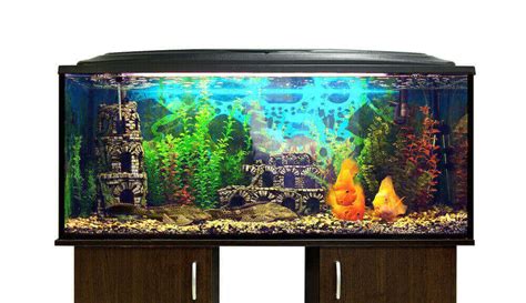 Best 75 Gallon Aquarium Stands – The Fish Keeping & Aquarium Guide.