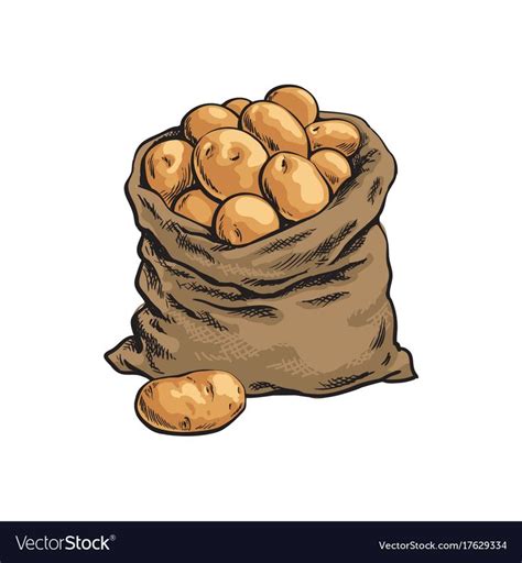 Burlap sack full of ripe potato, hand drawn, sketch style vector illustration isolated on white ...