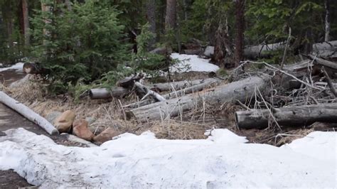 Granby, Grand Lake, Winter Park Colorado May 2019 - YouTube