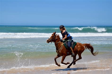 Beach Horse Riding Adventures | Southern Cross Horse Treks Australia - Kerewong