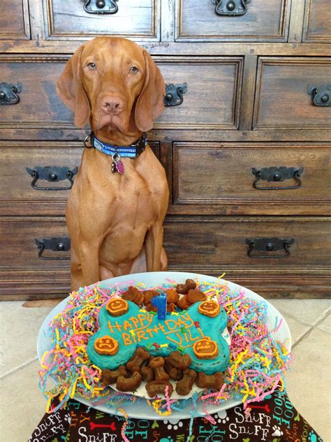 A Happy Birthday Dog Bone Cake www.asweetdogbarkery.com | Happy birthday dog, Dog birthday cake ...