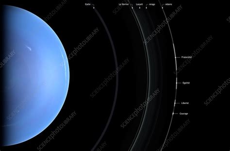 Structure of Neptune's Rings - Stock Image - C035/2594 - Science Photo Library