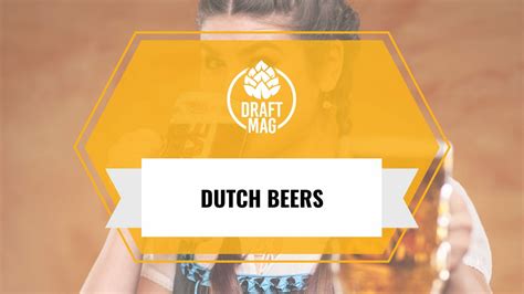 Dutch Beer: A Complete Guide To Traditional and New-age Beers