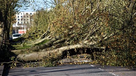 Images of Hurricane Ophelia Ireland - Storm Ophelia pictures - My ...