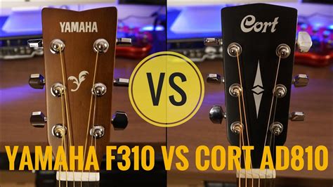 Yamaha F310 vs Cort AD810 | Detailed Comparison | The Guitar Chronicles - YouTube