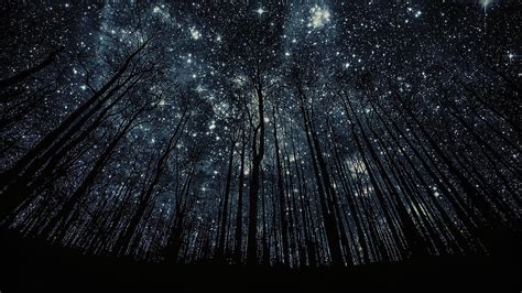 Wallpaper Of Stars (61+ images)