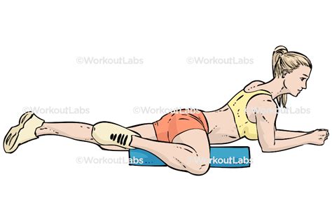 Foam Roller Inner Thigh Adductor / Adduction Stretch – WorkoutLabs ...