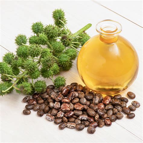 Ricinoleic Acid | Modi Oil Mill - Leading Castor Oil Manufacturer In Vadodara , Gujarat , India