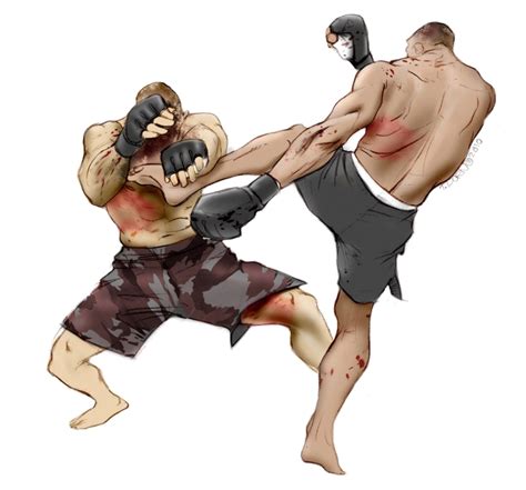 Mixed martial arts PNG images, mma PNG