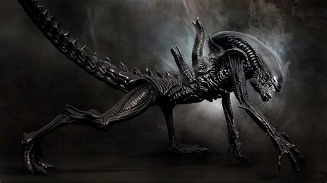 Xenomorph Wallpapers - Top Free Xenomorph Backgrounds - WallpaperAccess