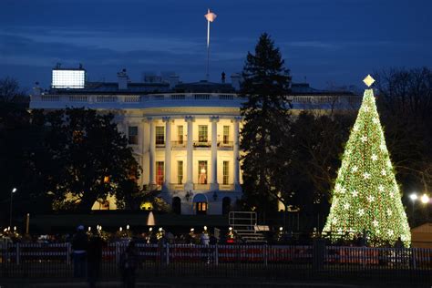 We Bet You Didn't Know These 6 (Interesting) White House Christmas Tree ...