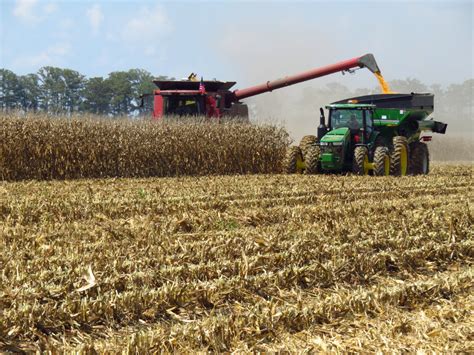 Oklahoma Farm Report - Most Crops Mature As Farmers Shift Into Harvest Mode In Latest USDA Crop ...