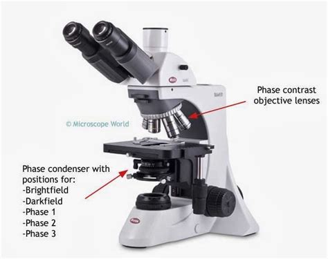 Microscope World Blog: Why Biologists Prefer Phase Contrast Microscopes