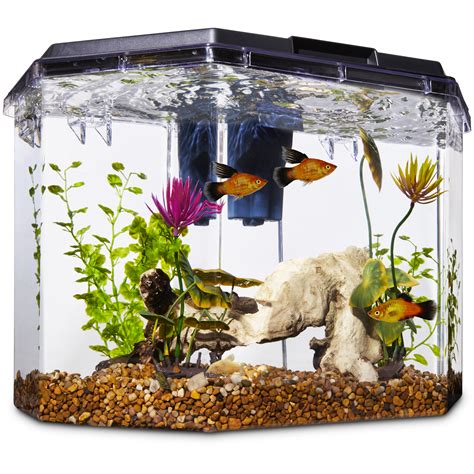 Imagitarium Semi-Hexagonal Aquarium Kit, 6.7 GAL | Petco