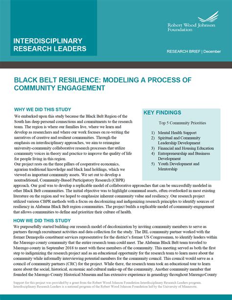 Black Belt - Interdisciplinary Research Leaders