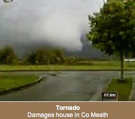 Tornado damage… in Ireland? | Puppies and Flowers