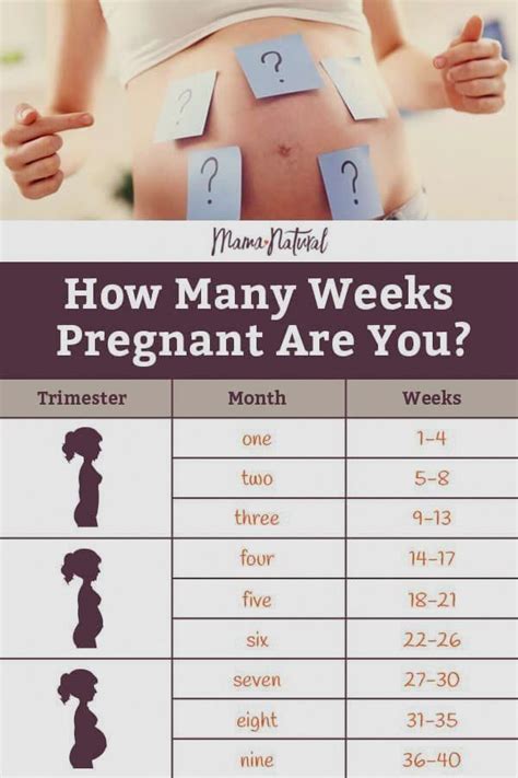 Pin on Pregnancy