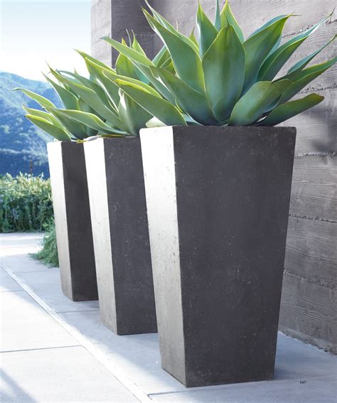 20+ Big Pot Planter Ideas – ZYHOMY