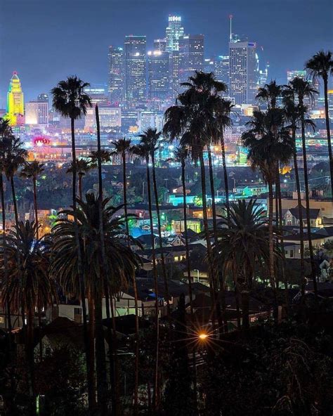 City lights and palm trees Downtown LA at night! - :@killakristennn ...