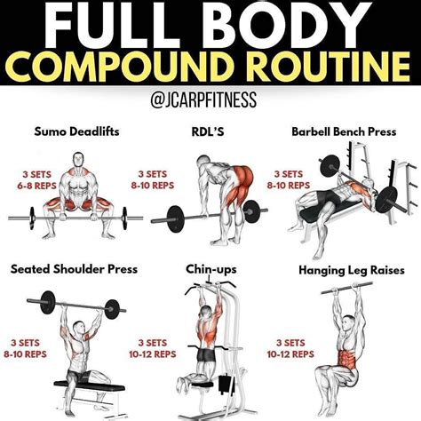 FULL BODY WORKOUT ROUTINEby@jcarpfitness... | Full body workout routine, Dumbbell back workout ...