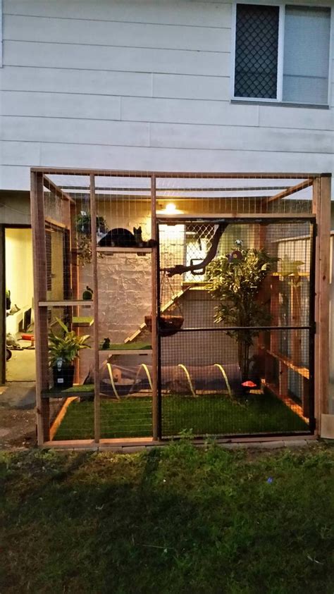 Outdoor Cat Enclosure - Create a Safe Space for Your Indoor Kitty