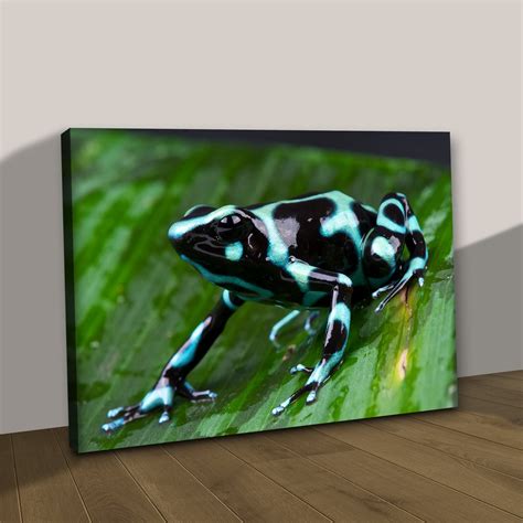 Frog Wall Art To Bring That Fun Your Home Deserves | Tailored Canvases ...