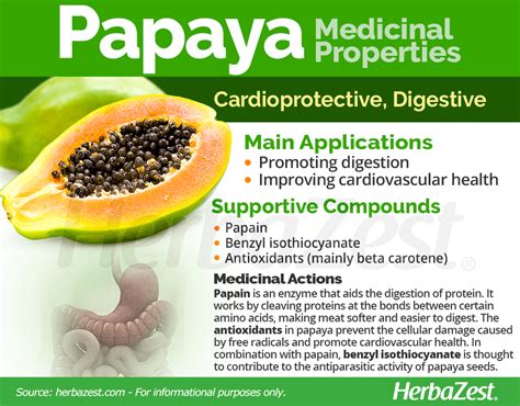 Papaya | HerbaZest