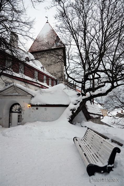 Winter in Old town, Tallinn Estonia | Winter scenes, Winter scenery, Estonia travel