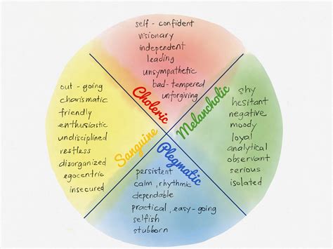 The Four Temperaments in Anthroposophy - Mẹ Dạy Bé