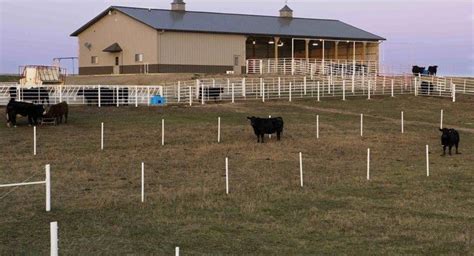 Morton understands the importance of a quality livestock facility to keep your animals healthy ...