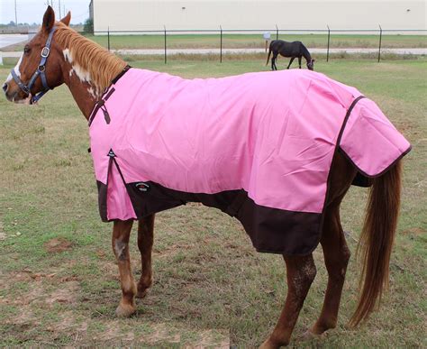 78" 1200D Turnout Waterproof Horse WINTER BLANKET HEAVY Pink 570G | eBay