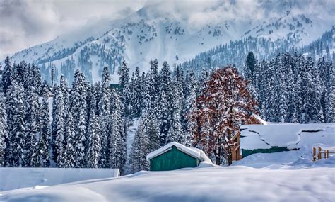 Pakej Travel ke Kashmir - Winter 2024 by Amora Escape