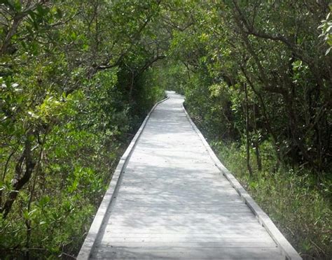 Matanzas Pass Preserve | Visit Fort Myers Beach