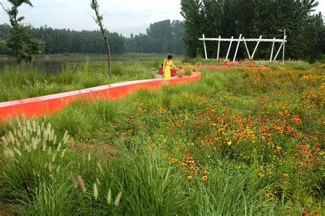 Gallery of Red Ribbon Park / Turenscape - 13 | Landscape, Landscape architecture, Park