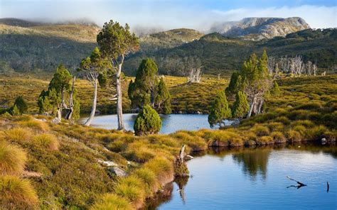 Tasmania, Australia, Lake, Mountain, Grass, Trees, Water, Shrubs, Nature, Landscape Wallpapers ...