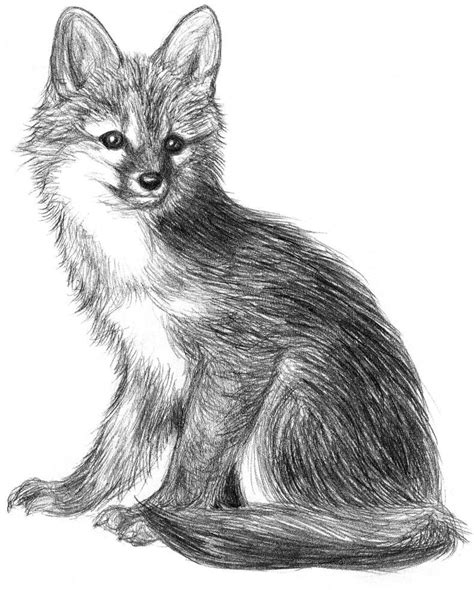 Pin by Ellen Bounds on GRAPHITE PENCIL DRAWINGS OF FOX | Realistic drawings, Colorful drawings ...